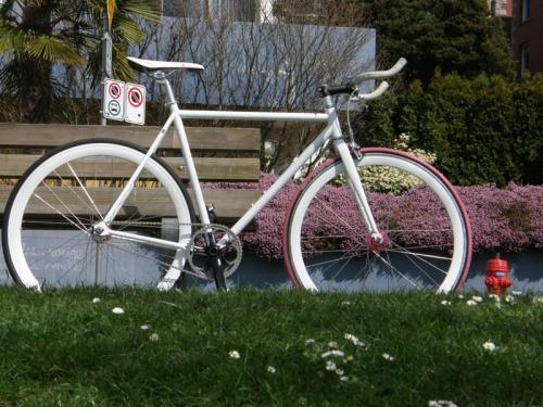 photo #8